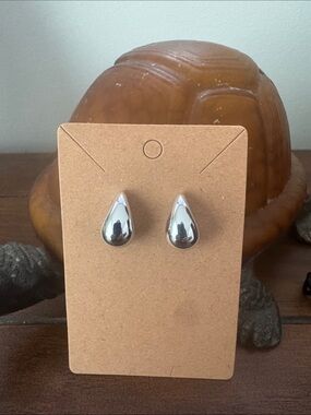 Silver tone Earrings, NWOT - Stainless steal